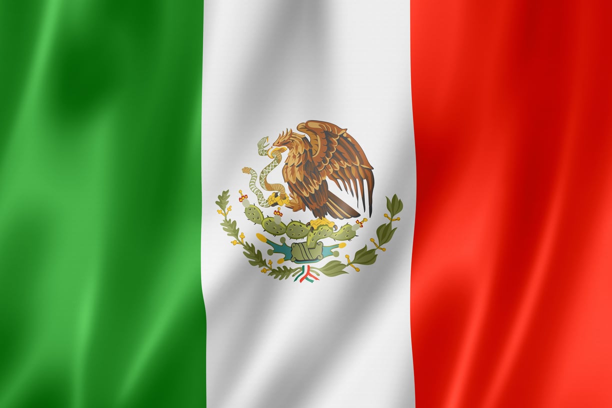 Mexican Flag